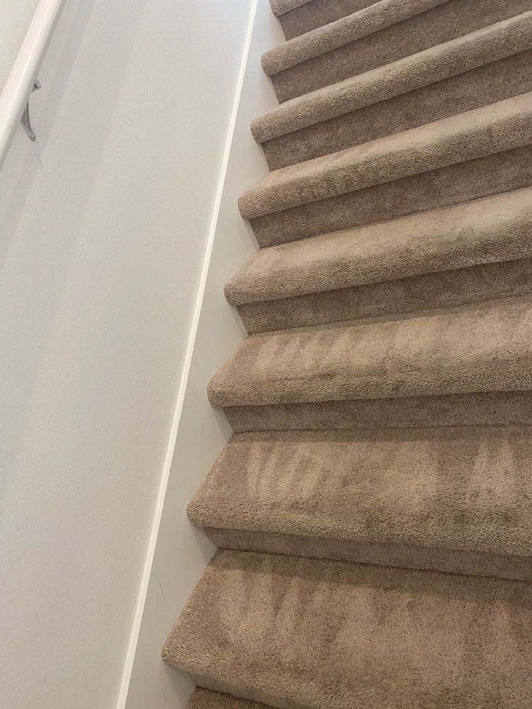 o (17)